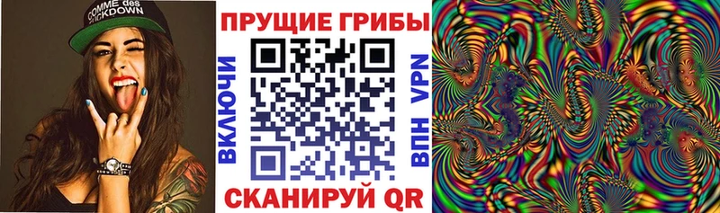 купить наркоту Каргополь Галлюциногенные грибы GOLDEN TEACHER